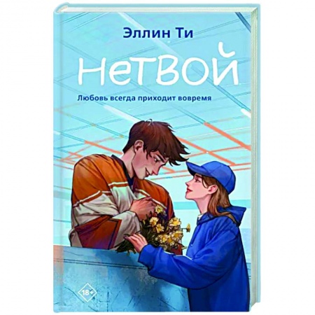 Любовный роман, книга Нетвой