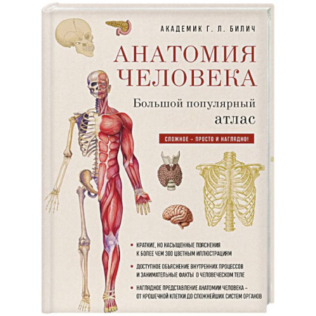 Медико-биологические дисциплины, книга Анатомия человека: большой популярный атлас