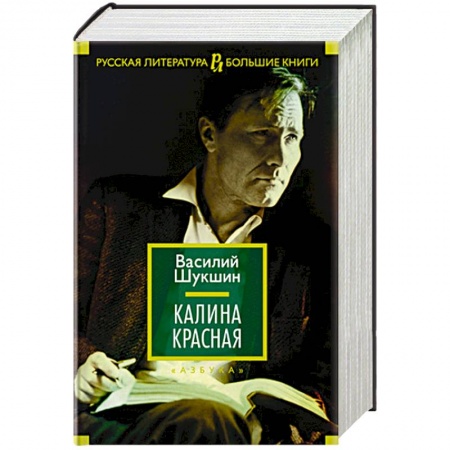 Классика, современная литература, книга Калина красная