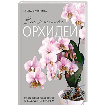 Сад, огород, цветы, дизайн участка, книга Великолепные орхидеи. Практичное руководство по уходу для начинающих