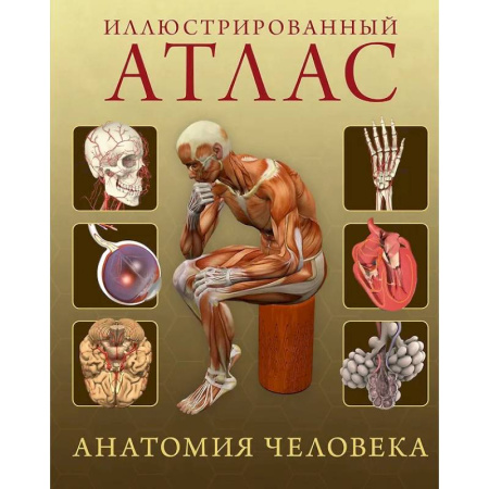 книга Анатомия человека 360. Иллюстрированный атлас с доставкой по Франции Медико-биологические дисциплины, книга Анатомия человека 360. Иллюстрированный атлас
