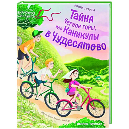 Проза для детей, книга Тайна Черной горы, или Каникулы в Чудесатово