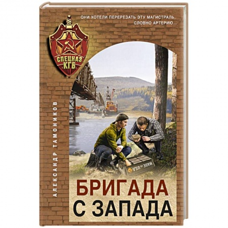Детективы, триллеры, книга Бригада с запада