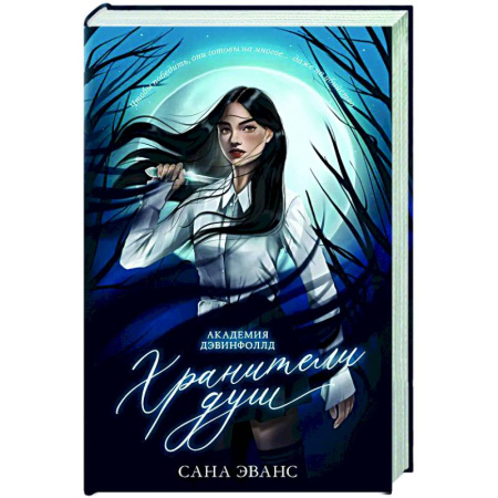 Фантастика, фэнтези, книга Хранители душ. Академия Дэвинфоллд