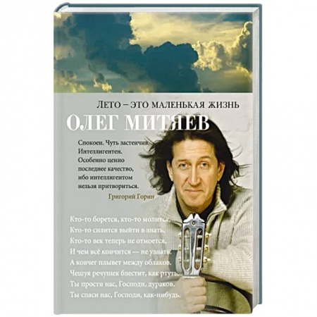 Классика, современная литература, книга Лето-это маленькая жизнь