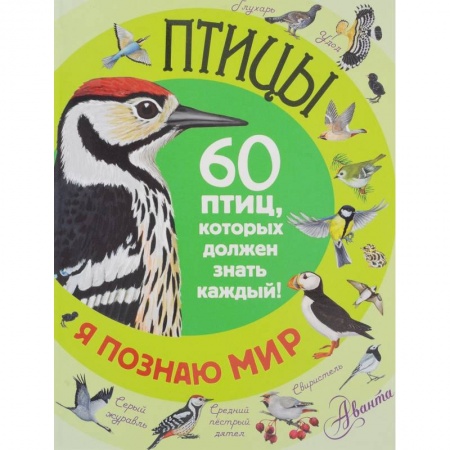 Книги, книга Птицы. 60 птиц, которые должен знать каждый