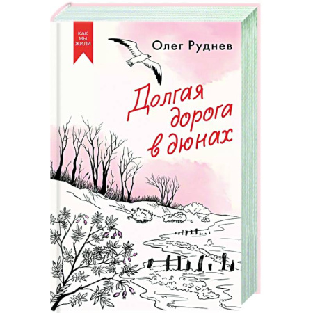 Классика, современная литература, книга Долгая дорога в дюнах