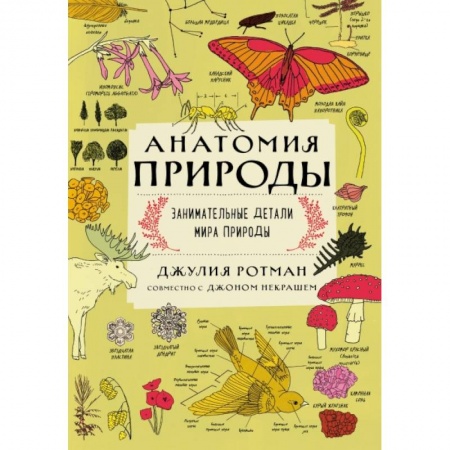 Познавательная литература, книга Анатомия природы. Занимательные детали мира природы