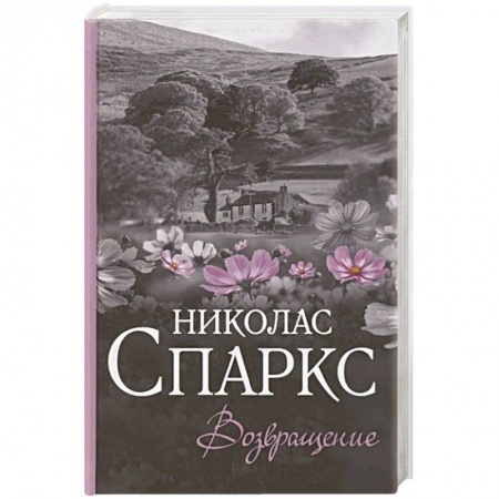 Любовный роман, книга Возвращение