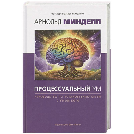 Общественные и гуманитарные науки, книга Процессуальный ум. Руководство по установлению связи с Умом Бога