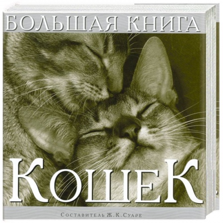 Книги, книга Большая книга кошек