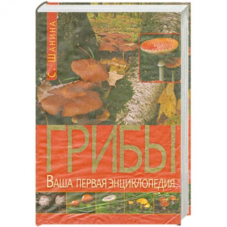 Книги, книга Грибы. Ваша первая энциклопедия