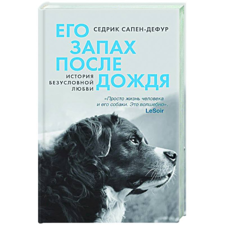 Классика, современная литература, книга Его запах после дождя