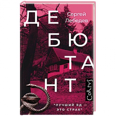 Классика, современная литература, книга Дебютант