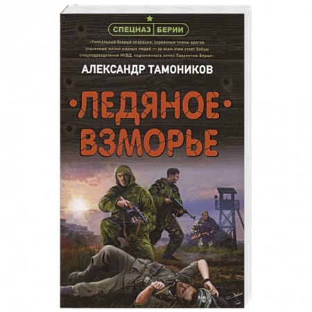 Детективы, триллеры, книга Ледяное взморье