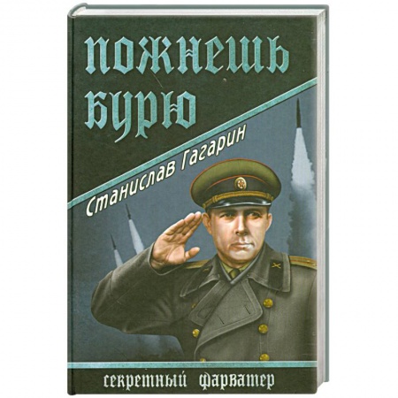 Книги, книга Пожнешь бурю