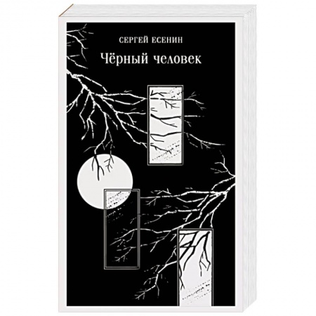 Классика, современная литература, книга Чёрный человек