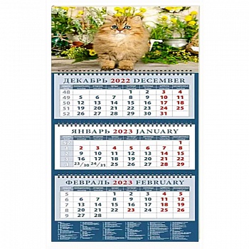Календарь Год кота. Очаровательный малыш, на 2023 год