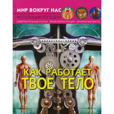 Познавательная литература, книга Мир вокруг нас. Как работает твое тело