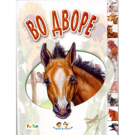 Книги для самых маленьких (0-3 года), книга Во дворе