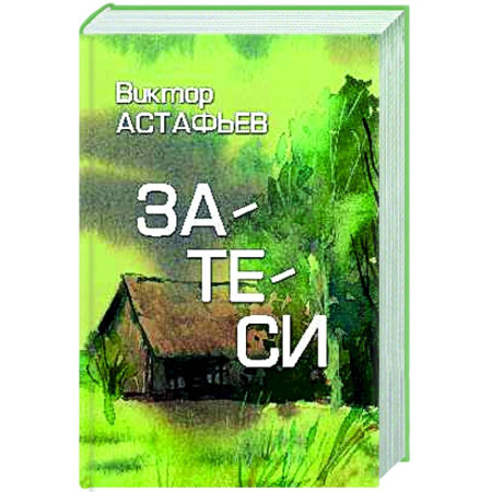 Классика, современная литература, книга Затеси