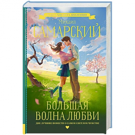 Любовный роман, книга Большая волна любви