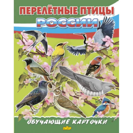 Познавательная литература, книга Перелетные птицы России