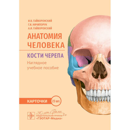 Медико-биологические дисциплины, книга Анатомия человека. Кости черепа. Карточки + кольцо для стяжки карточек: наглядное учебное пособие