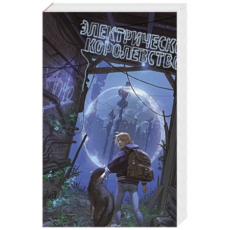 Фантастика, фэнтези, книга Электрическое королевство