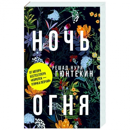 Классика, современная литература, книга Ночь огня