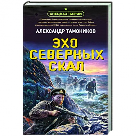 Детективы, триллеры, книга Эхо северных скал