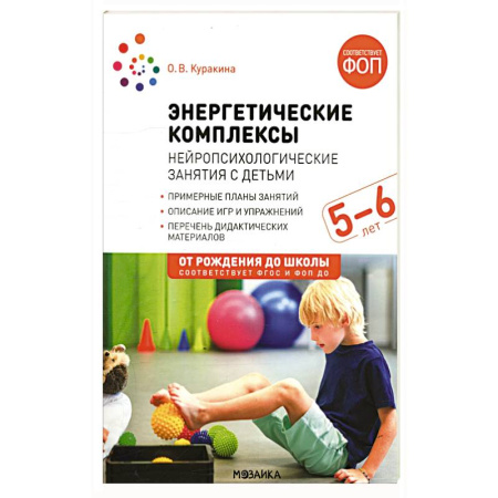 Книги для родителей, книга Энергетические комплексы Нейропсихологические занятия с детьми 5-6 лет