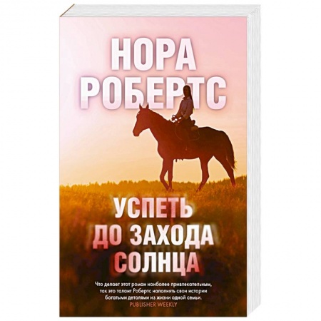 Детективы, триллеры, книга Успеть до захода солнца
