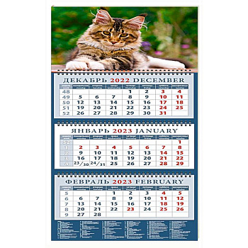 Календарь Год кота. Спокойствие и грация, на 2023 год