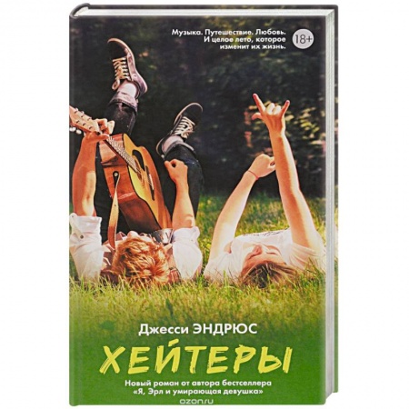 Книги, книга Хейтеры