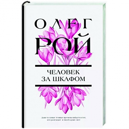 Любовный роман, книга Человек за шкафом