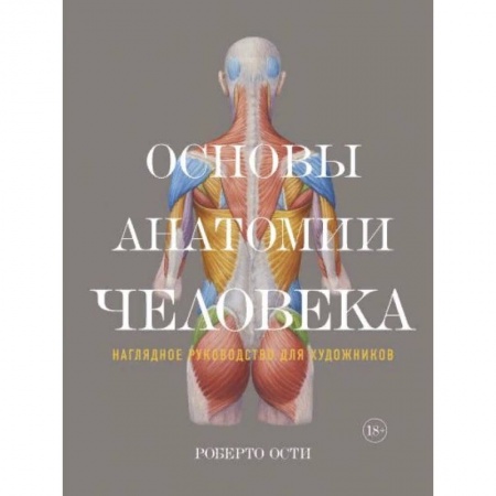Студентам и аспирантам, книга Основы анатомии человека. Наглядное руководство для художника