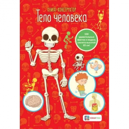Познавательная литература, книга Тело человека.  Книга - конструктор