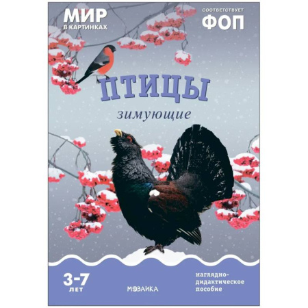 Познавательная литература, книга Птицы зимующие: Наглядно-дидактическое пособие