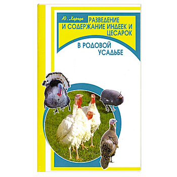 Разведение и содержание индеек и цесарок в родовой усадьбе