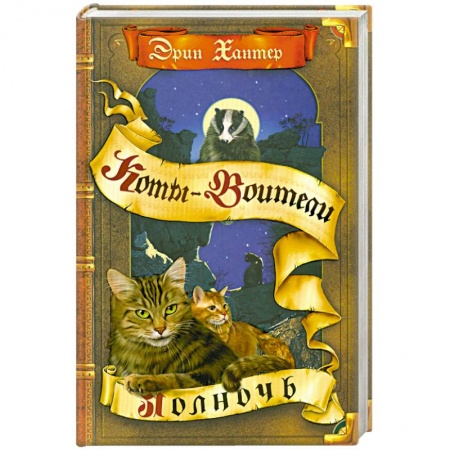 Книги, книга Полночь