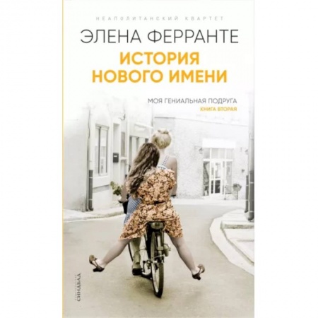 Классика, современная литература, книга История нового имени
