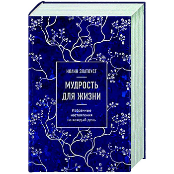 Мудрость для жизни. Избранные наставления на каждый день Мудрость для жизни. Избранные наставления на каждый день