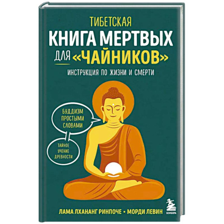 книга Тибетская Книга мертвых для 'чайников'. Инструкция по жизни и смерти с доставкой по Франции Эзотерика. Оккультизм, книга Тибетская Книга мертвых для 'чайников'. Инструкция по жизни и смерти