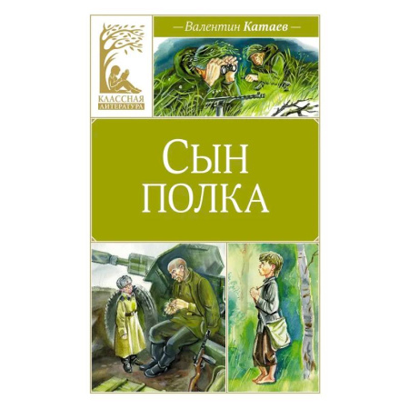 Проза для детей, книга Сын полка
