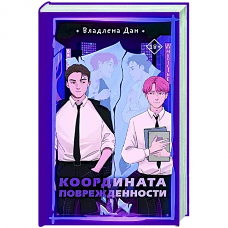 Любовный роман, книга Координата Поврежденности