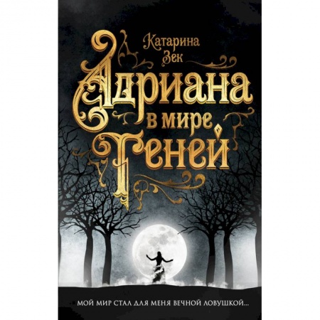 Фантастика, фэнтези, книга Адриана в мире теней