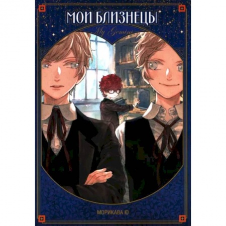 книга Мои близнецы с доставкой по Франции Развлечения. Праздники. Юмор, книга Мои близнецы