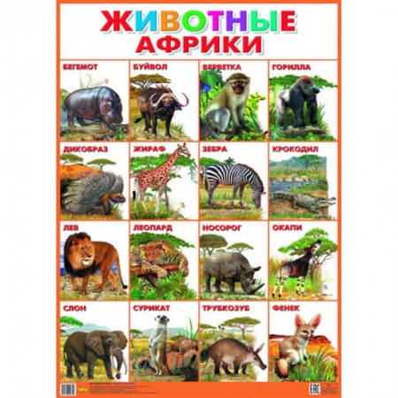 Книги, книга Плакат. Животные Африки (550х770)