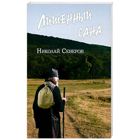 Классика, современная литература, книга Лишенный сана